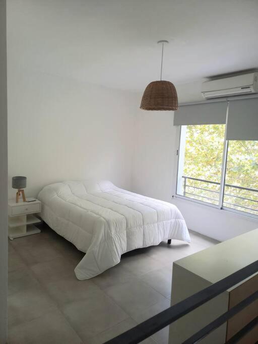 Apartamento Excelente Depto Muy Luminoso *