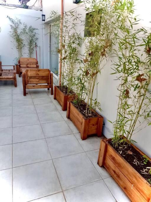 Excelente Depto Muy Luminoso Apartamento